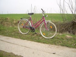 Fahrrad